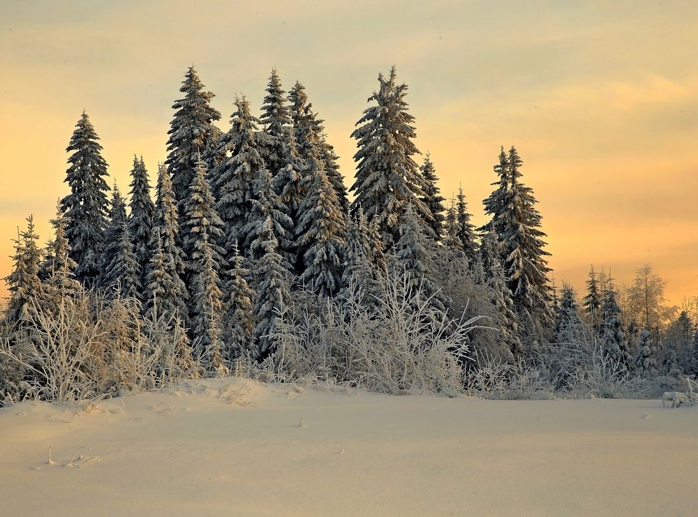 Фотография автора Юрий Кетель