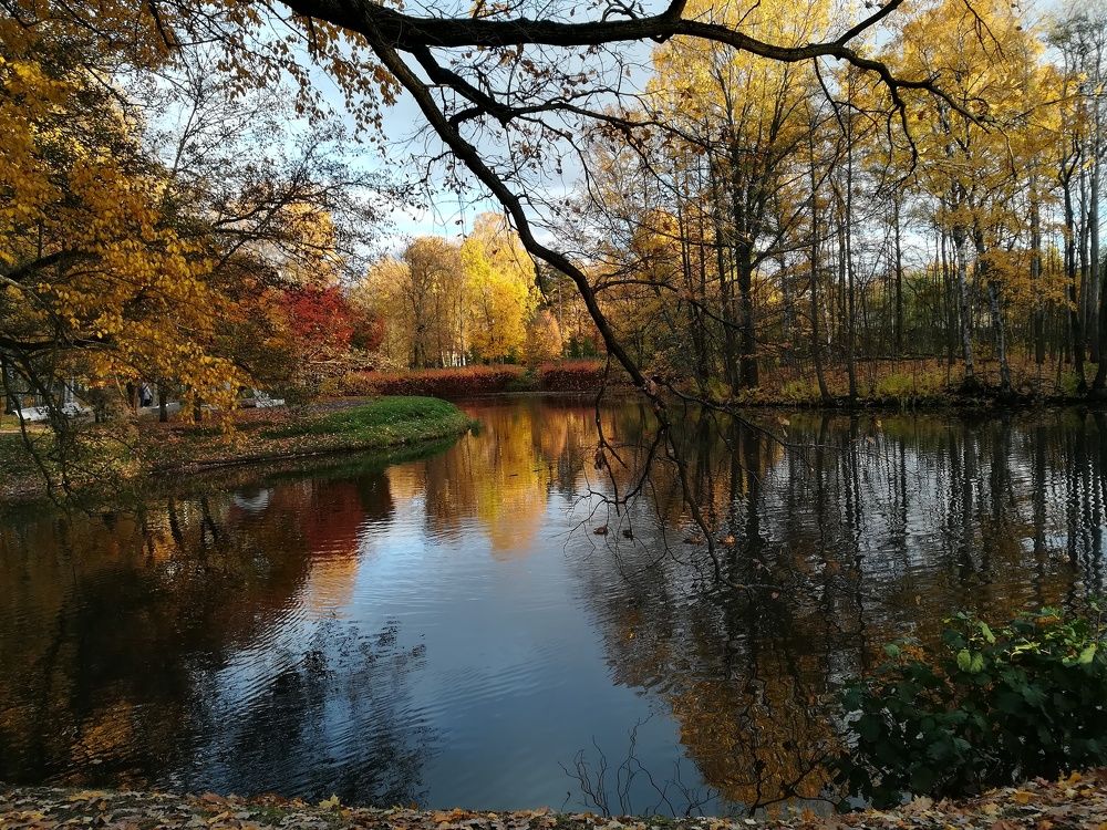 Photograph by Елизавета