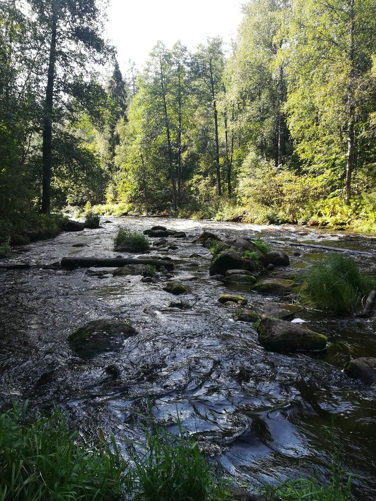 Линдуловская роща