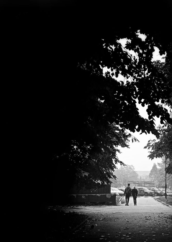 Фотография автора Abdullah Ibradzic