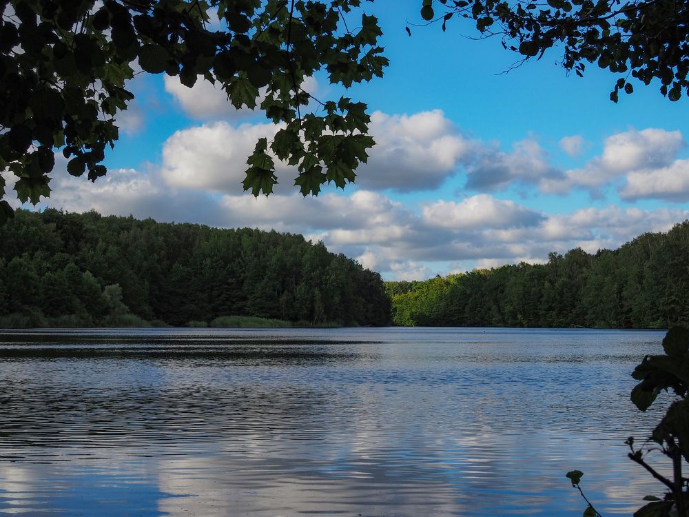 Photograph by андрей гусев