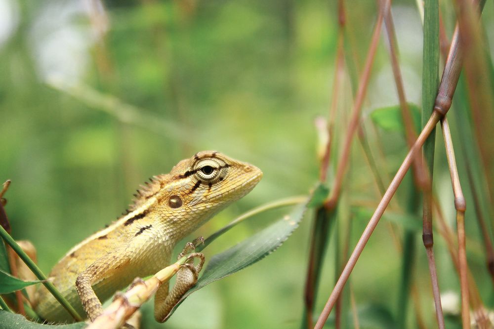 Photograph by Afnida m