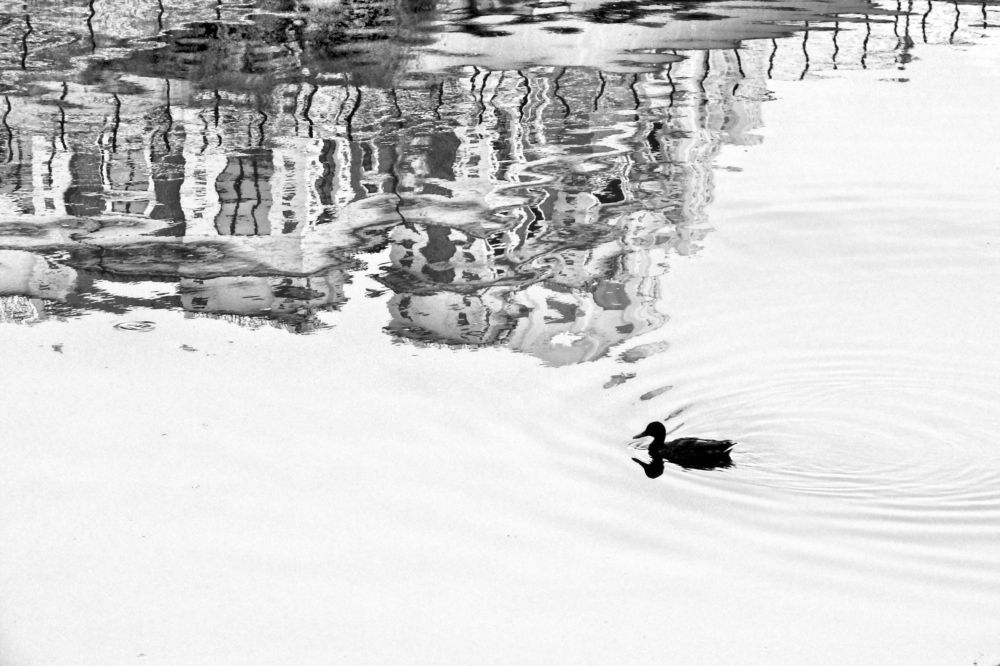 Photograph by Сергей Рябов