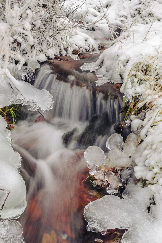 Фотография автора Андрей Набоков