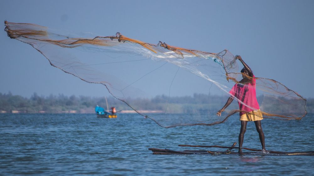 Photograph by GOKUUL T