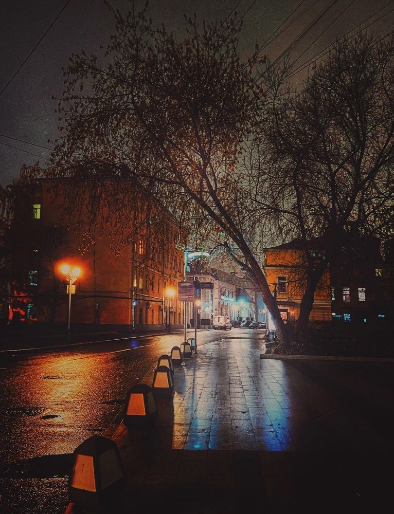 Photograph by Lana Cardi