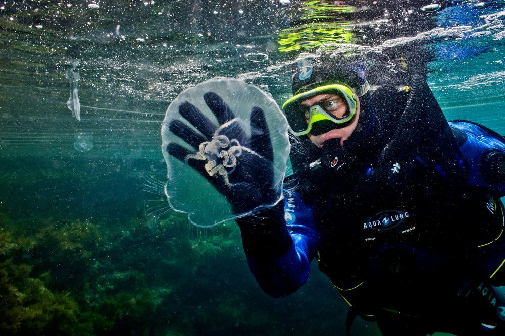 Фотография автора Эрнст Антонов