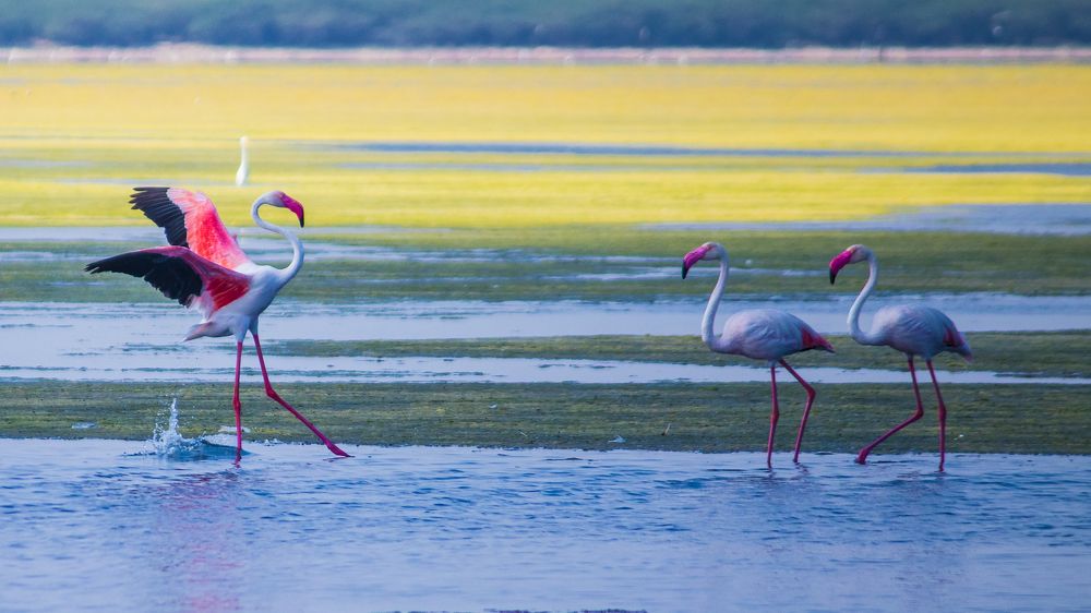 Photograph by GOKUUL T