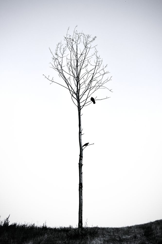 Photograph by Aneeri