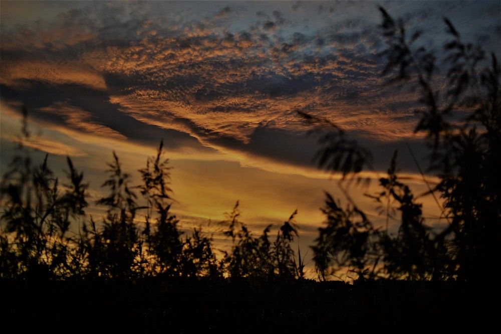 Photograph by Zdeňka Hudcová