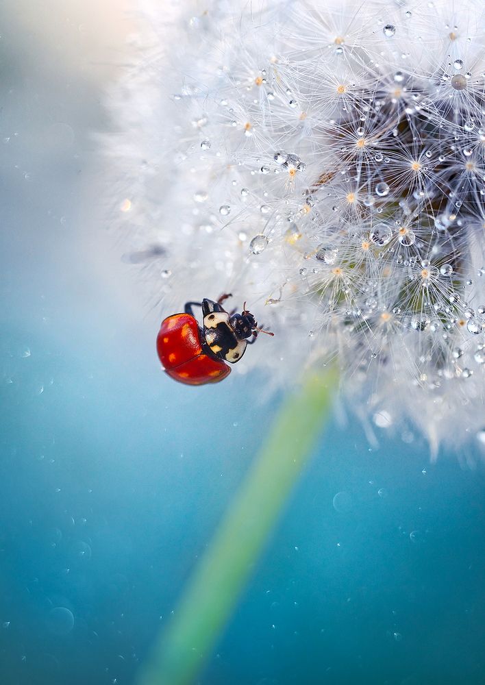 Photograph by Dana S.