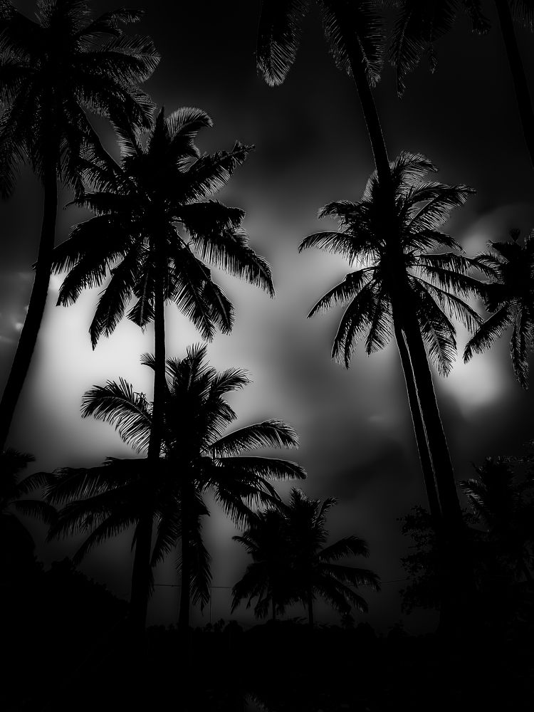 Photograph by RAFKI IDRIS