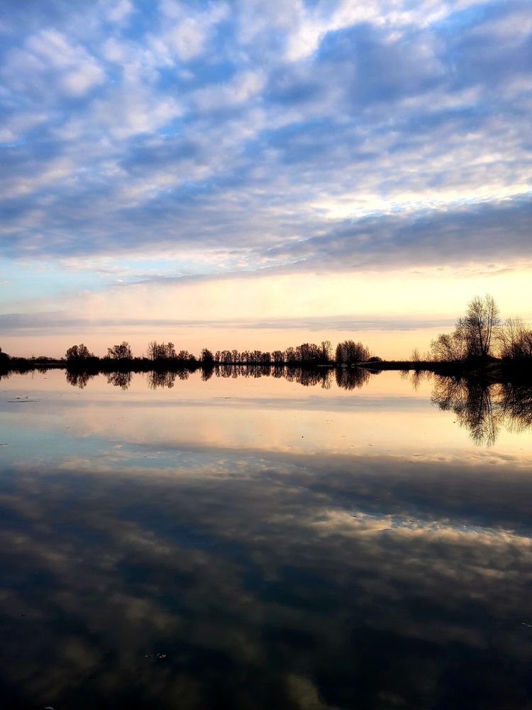 Photograph by Pavel Vorobev