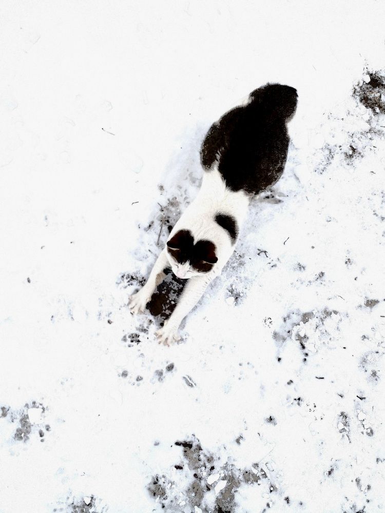 Photo #8406644