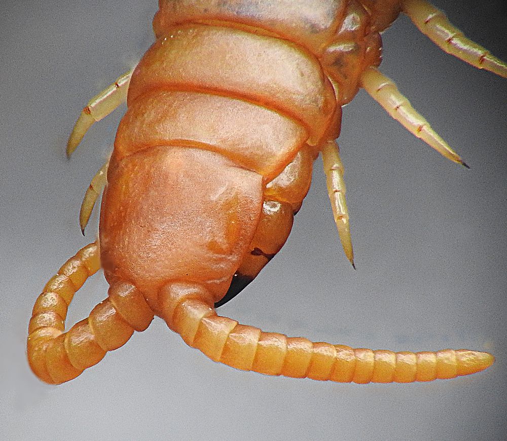 Photograph by Adeilson Melo