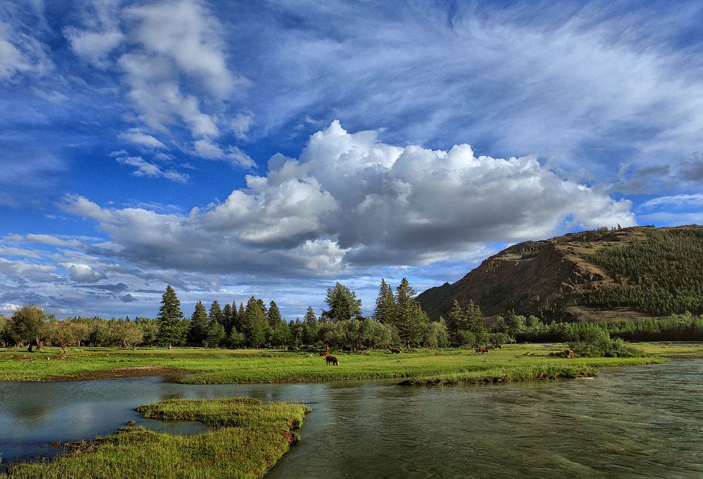 Photograph by Sokolova Tatiana