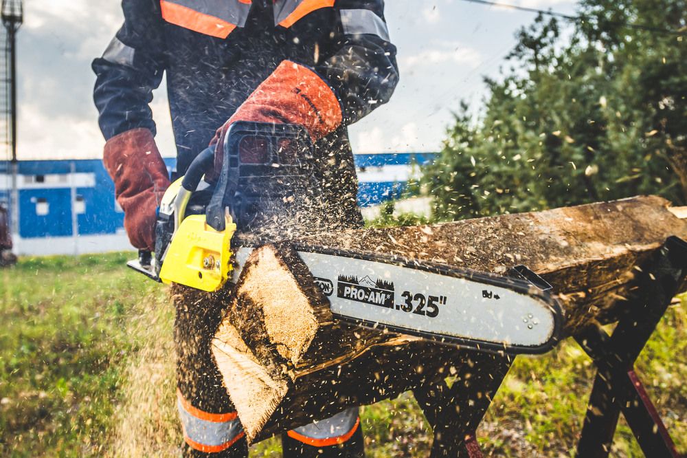 Photograph by Василий Шумкин