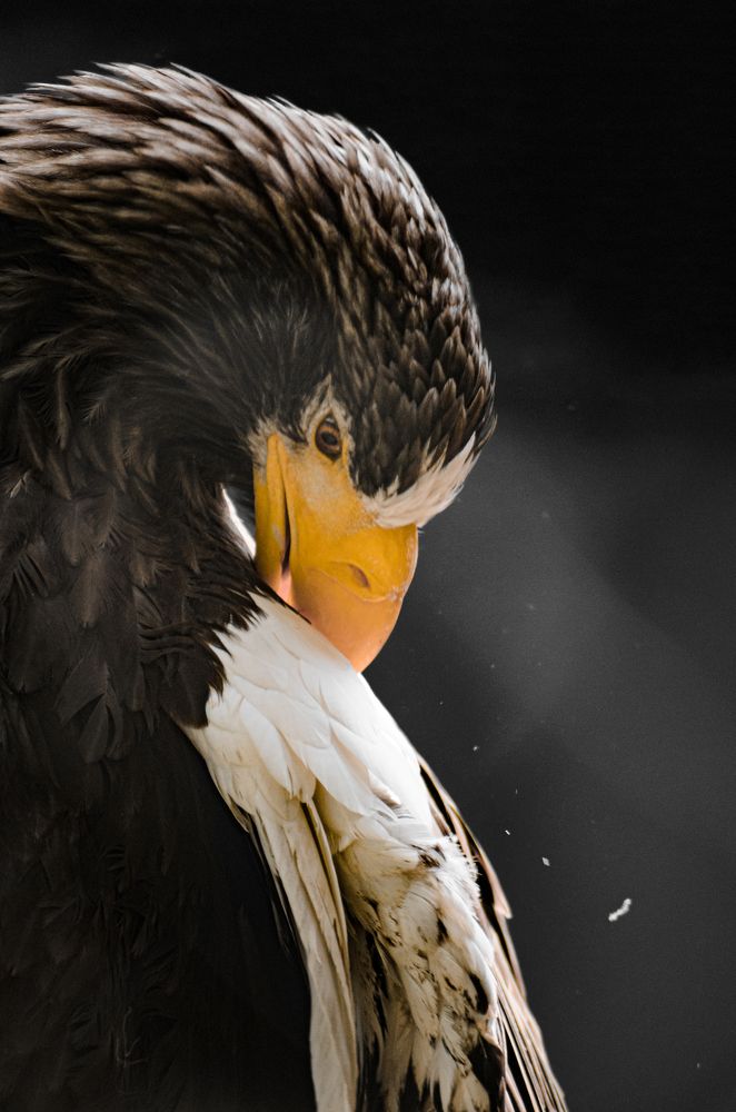 Утренние процедуры