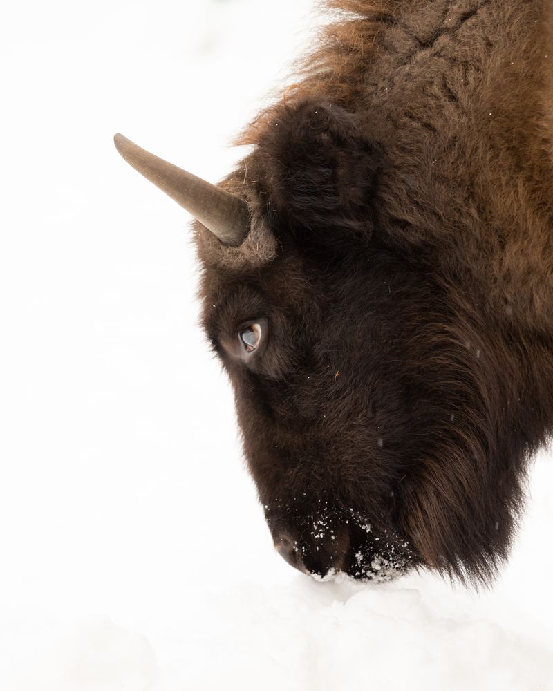 Photograph by Николай Шарлай