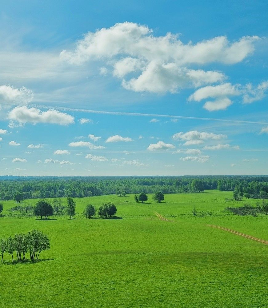 Plain under the June sun