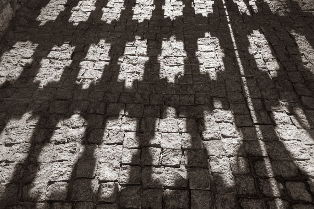 Photograph by Мария Паина