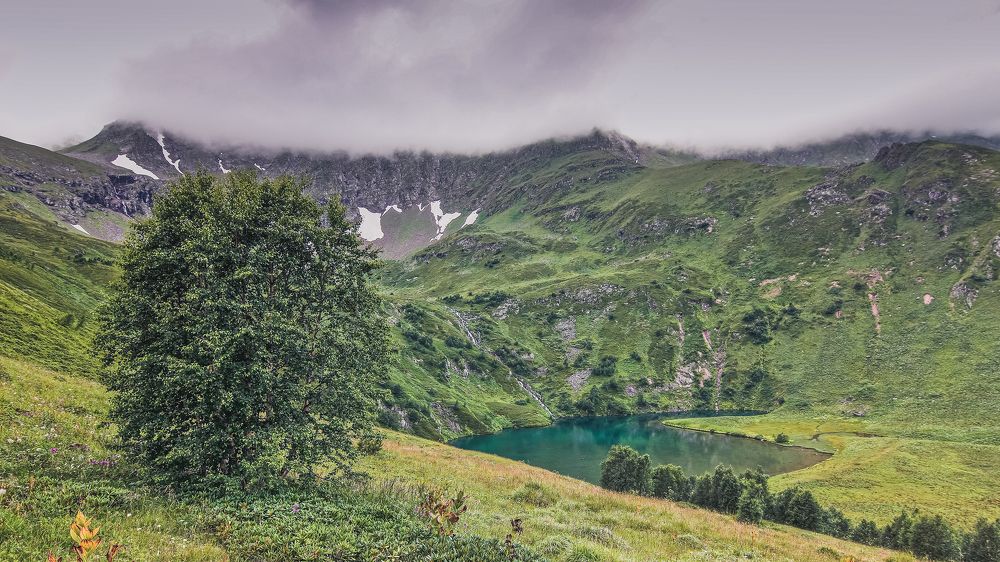 Photograph by Александр Перегоненко