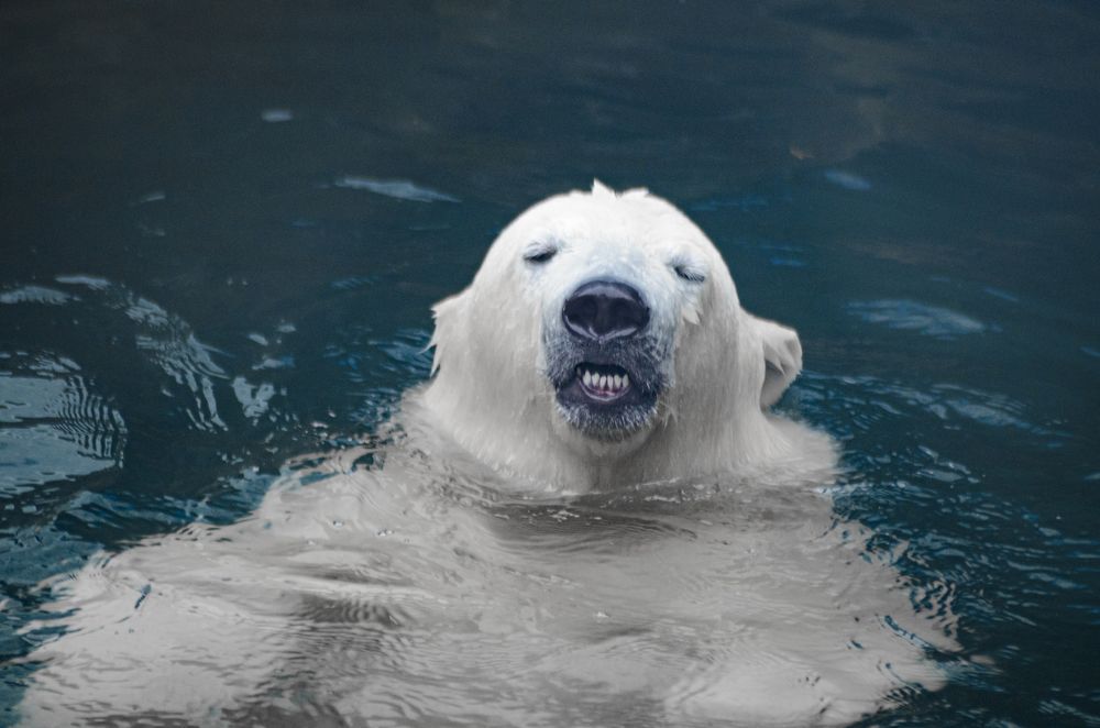 Photograph by Кирилл Савенко