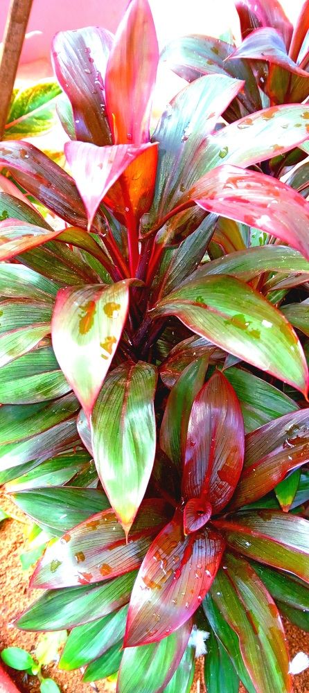 Photo #8406863
