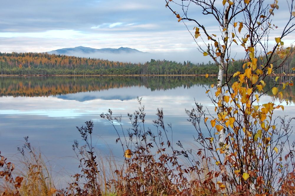 Photograph by Sergei Petrov