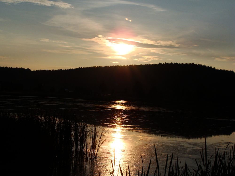 Photograph by Николай Худяков