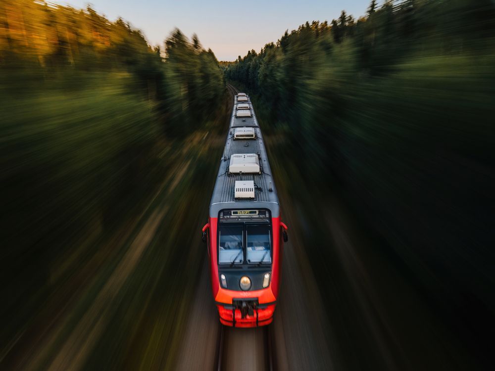 Мчащийся сквозь лес