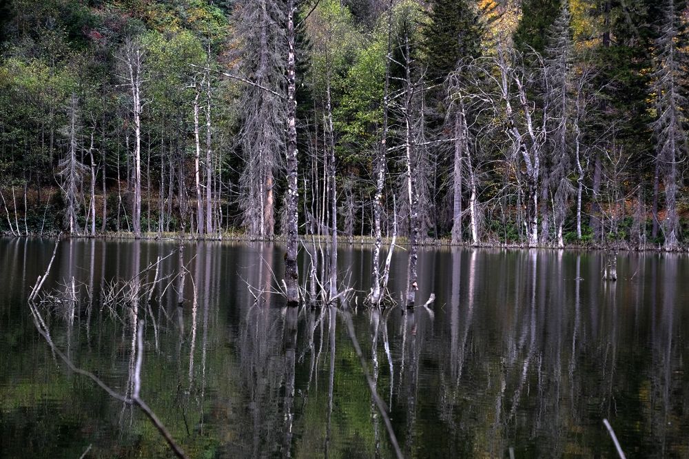 Photograph by Muzaffer Sütlüoğlu