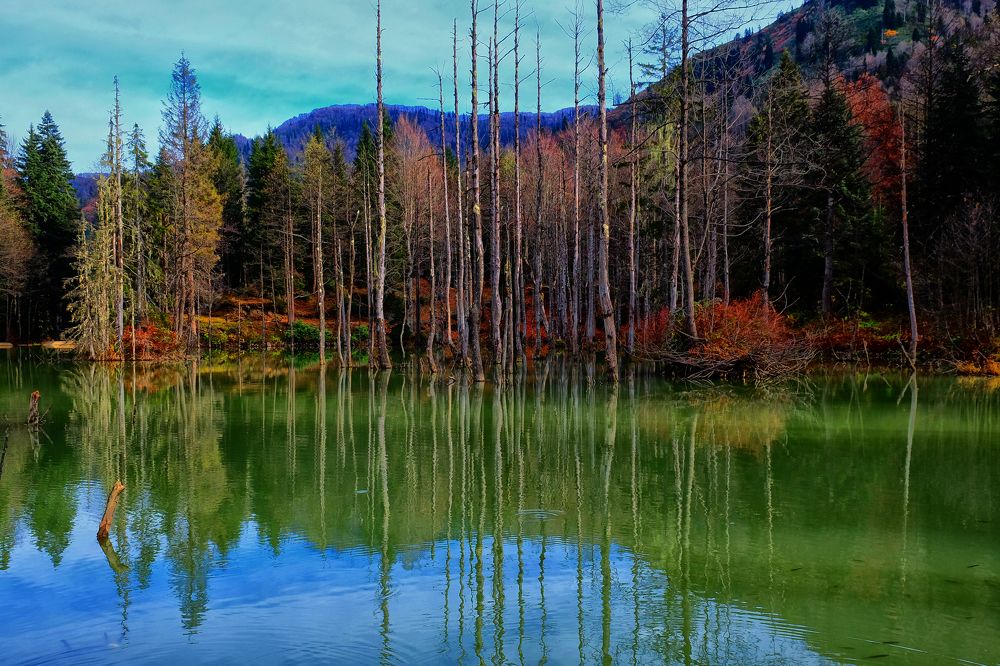 Photograph by Muzaffer Sütlüoğlu