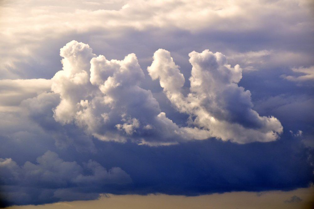 Три Медведя... / Three Bears...