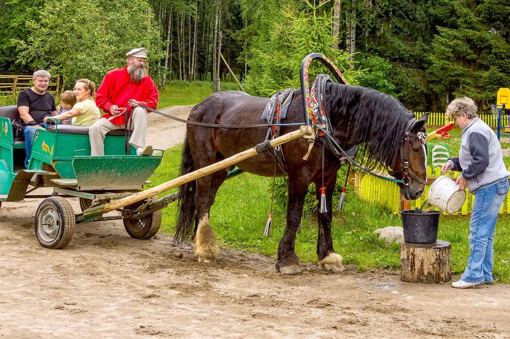 Photograph by Клясюк Галина