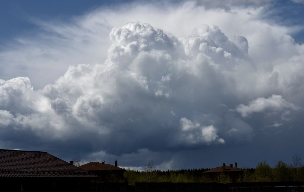 Photograph by Захарова Елена