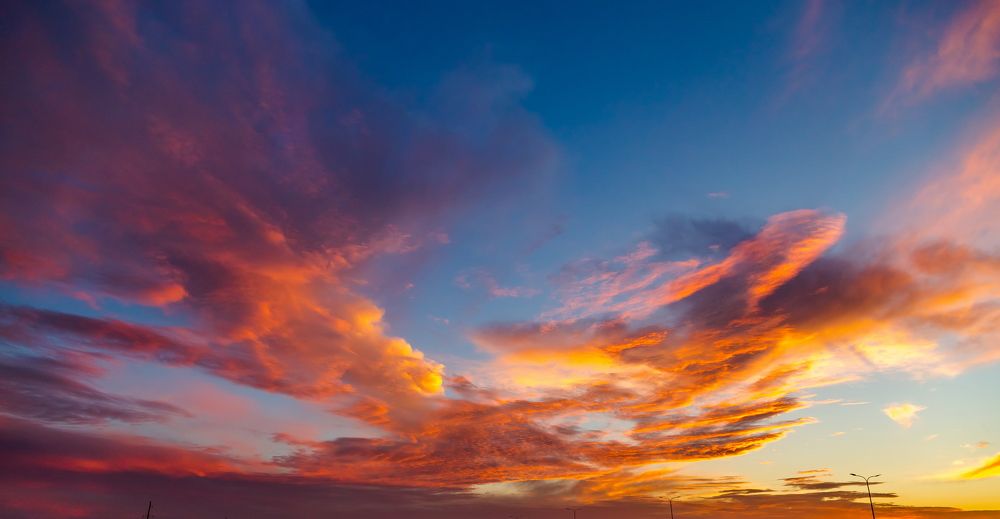 Огненный дракон