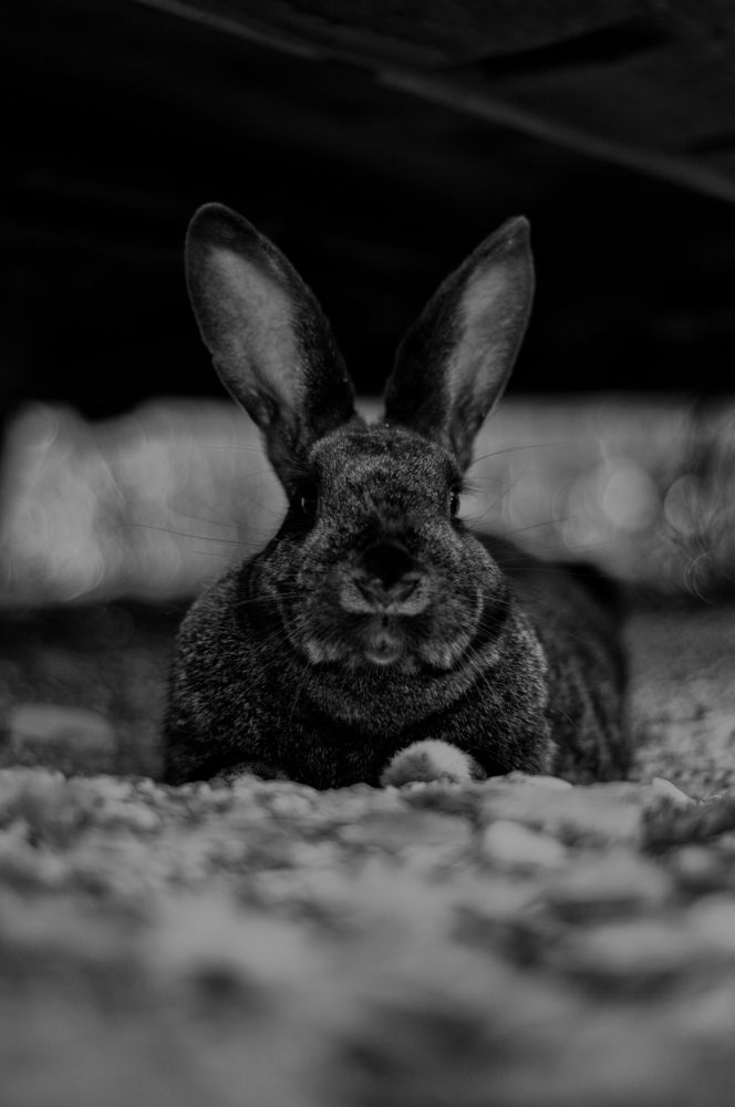 Photograph by Роман Грачёв