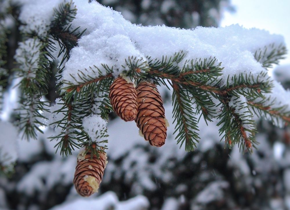 Photograph by Наталья