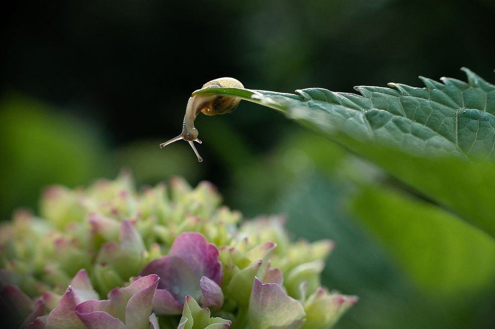 Photograph by Татьяна Гребенюк