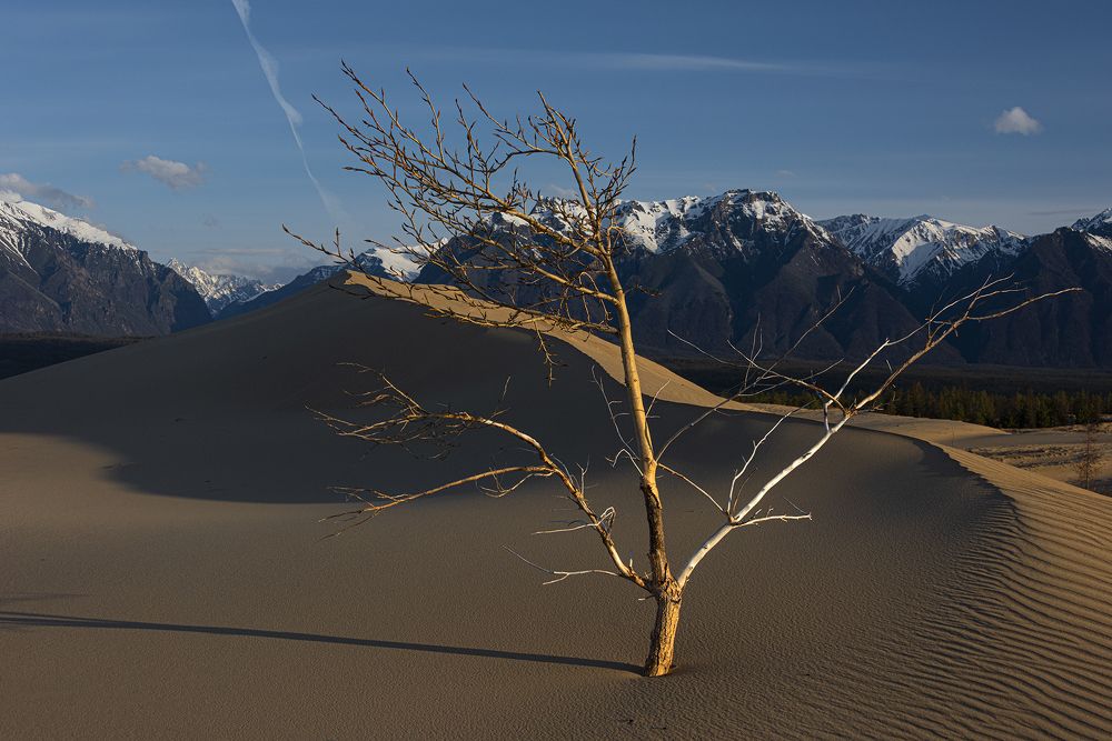 Photograph by Елена Вторушина