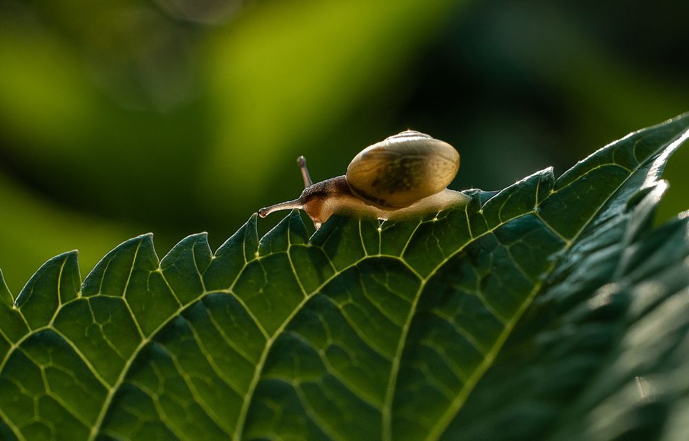 Photograph by Татьяна Гребенюк