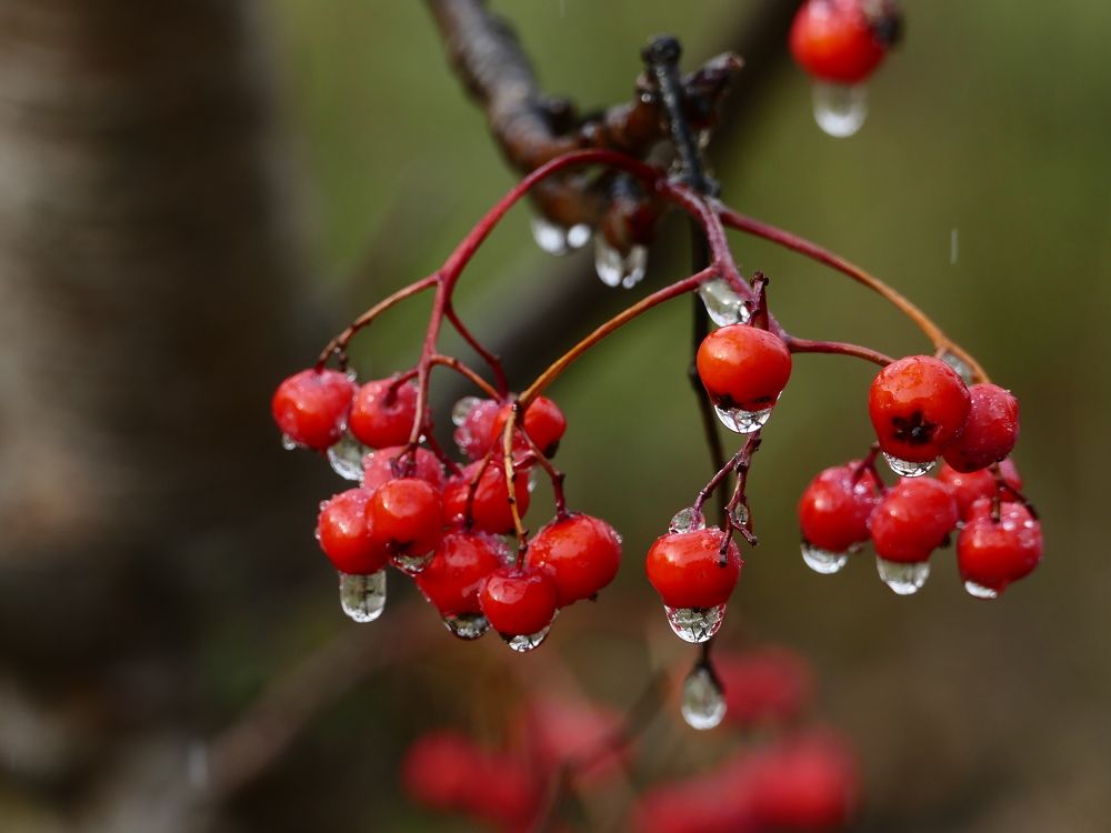 Photograph by Александр Кизим