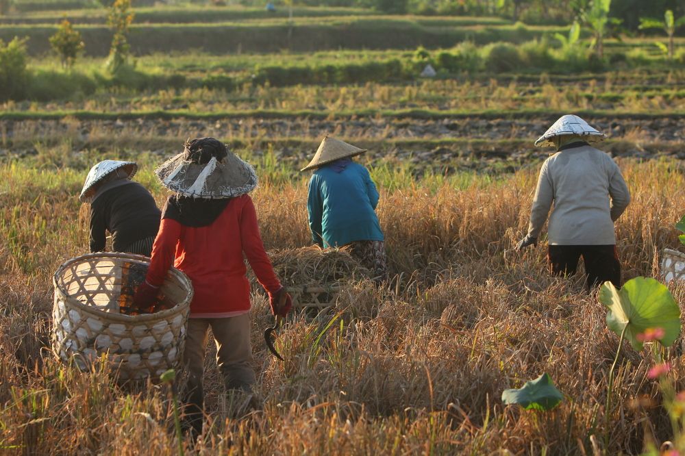 Photograph by dewa putra