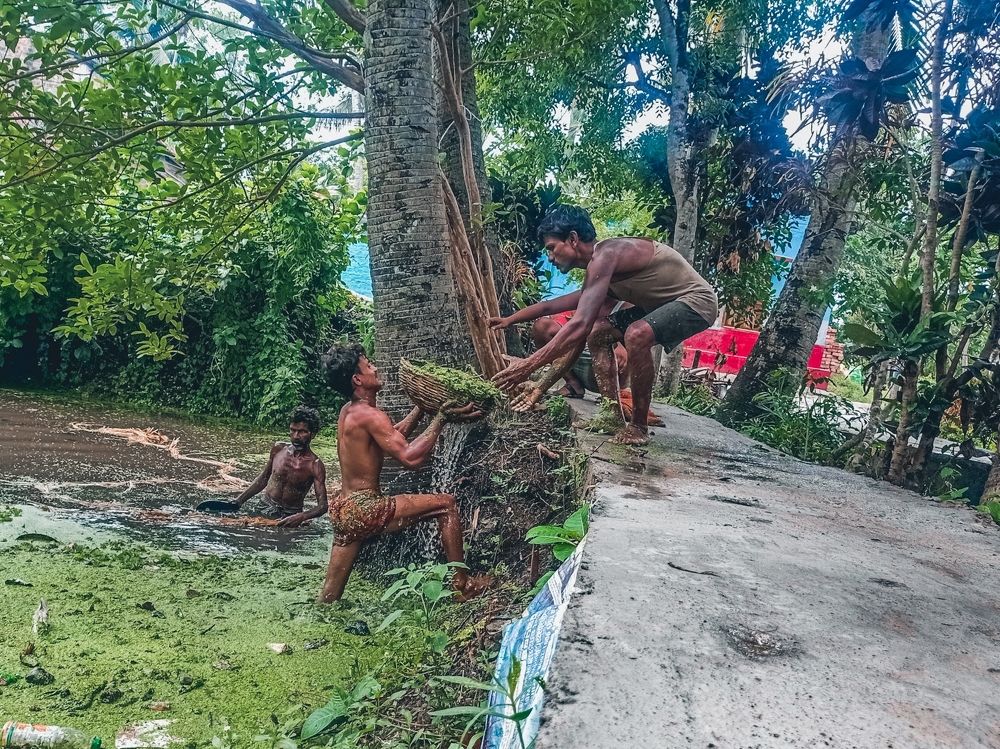 Photograph by Soumyadeep mondal