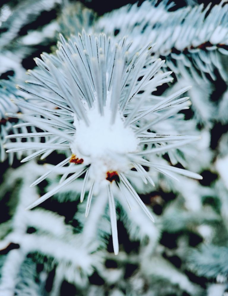 Фотография автора Rafa