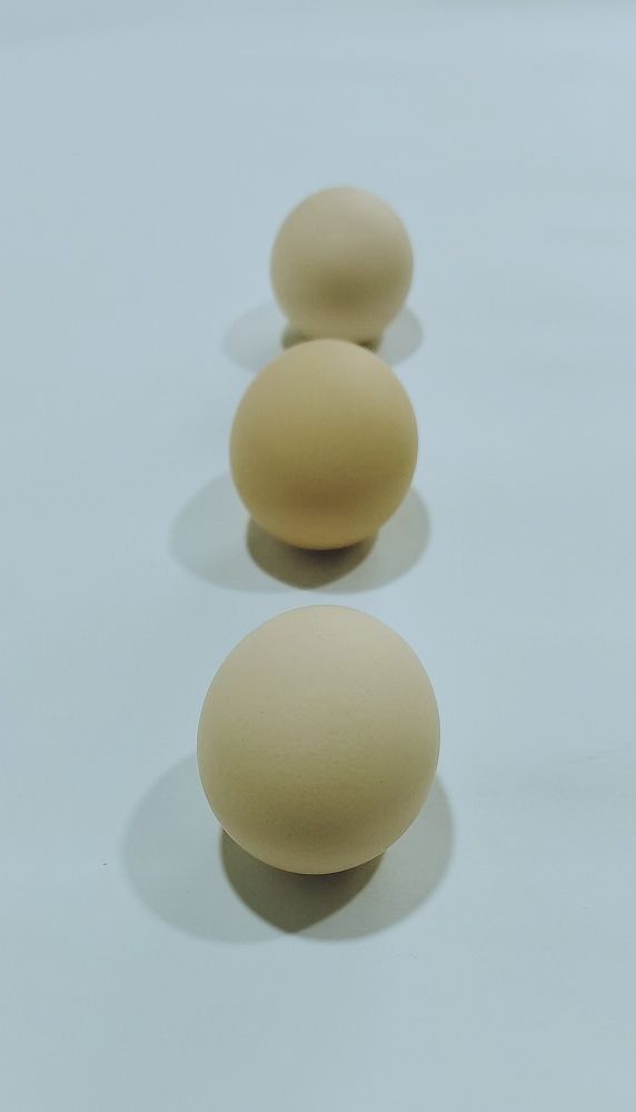 Яйца и тени