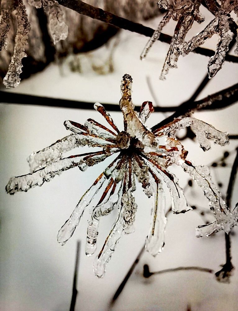 Зимние узоры