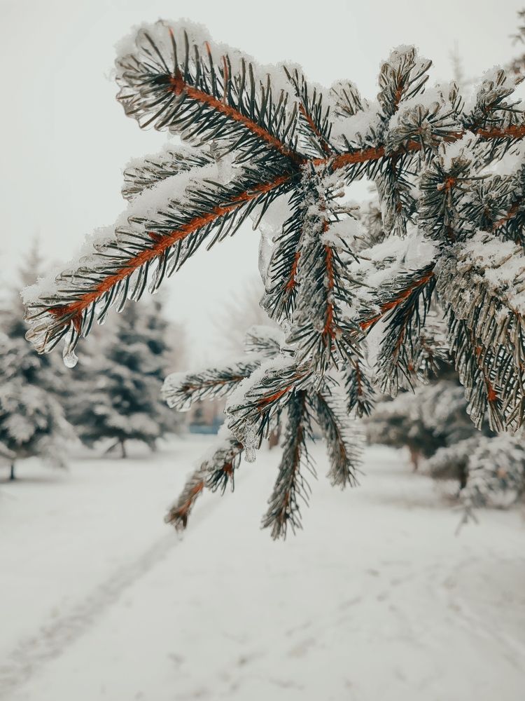 Photograph by Наталья