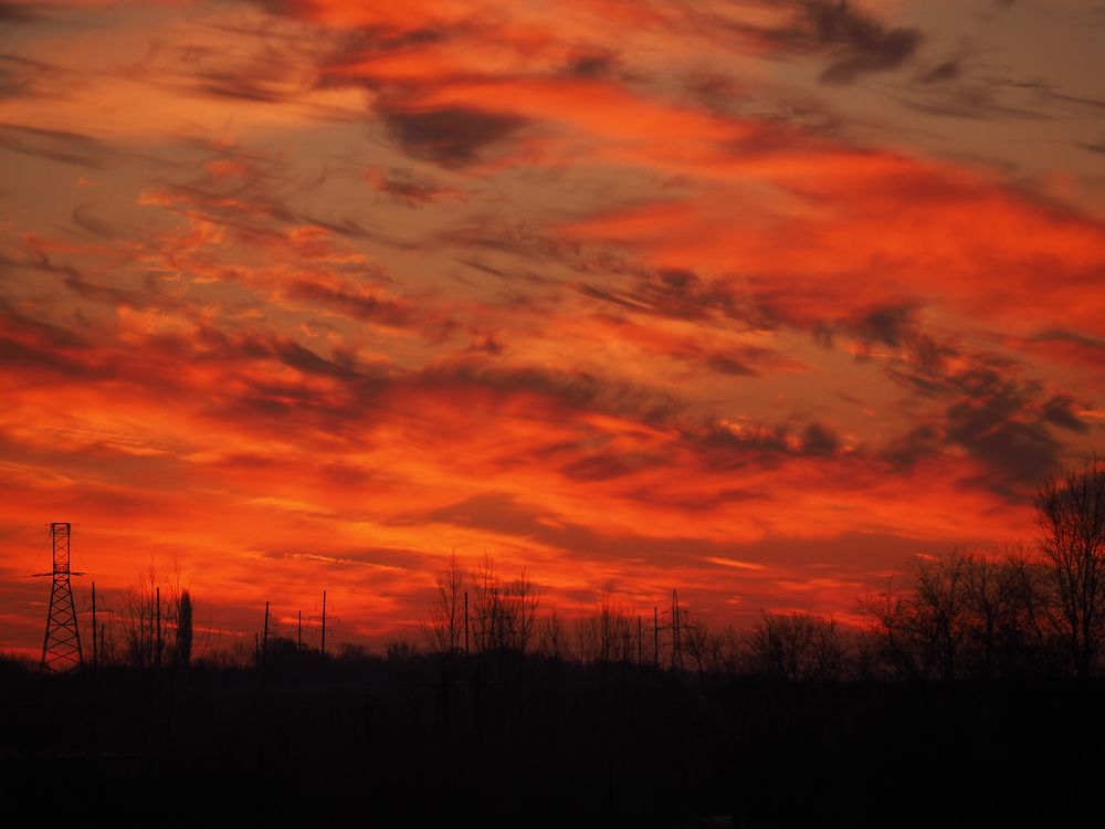 Photograph by Светлана Шибаршина